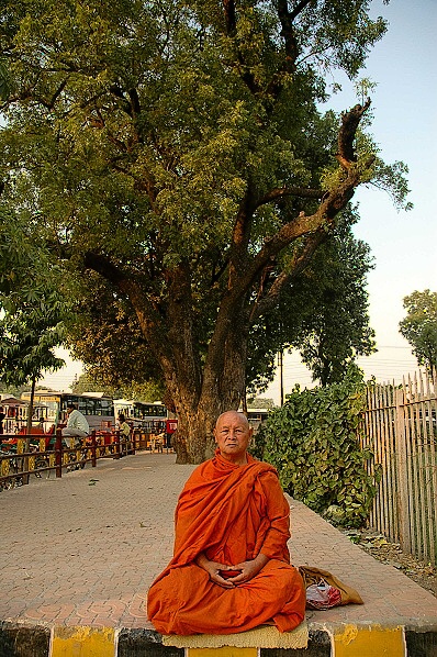 budhistick mnich