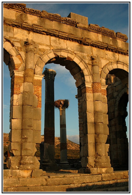Volubilis - bazilika s kapitolem vb pozadí