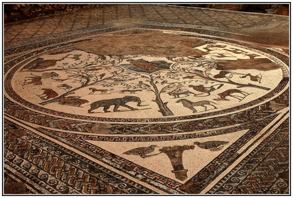 Volubilis - mozaiky