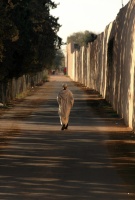 Meknes - procházka podél hradeb
