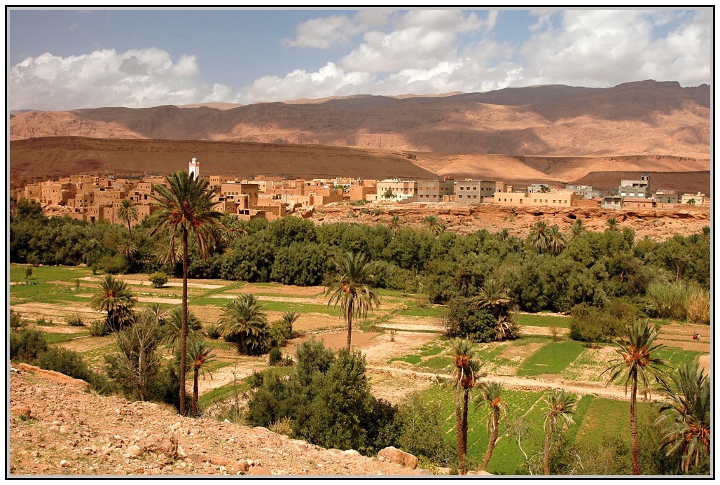 Oáza na jihu Maroka