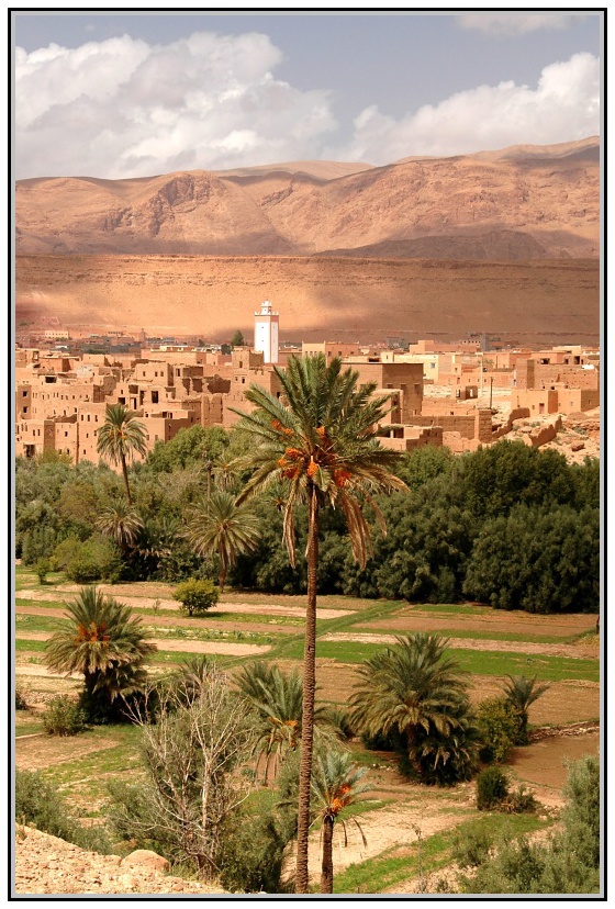 Oáza na jihu Maroka